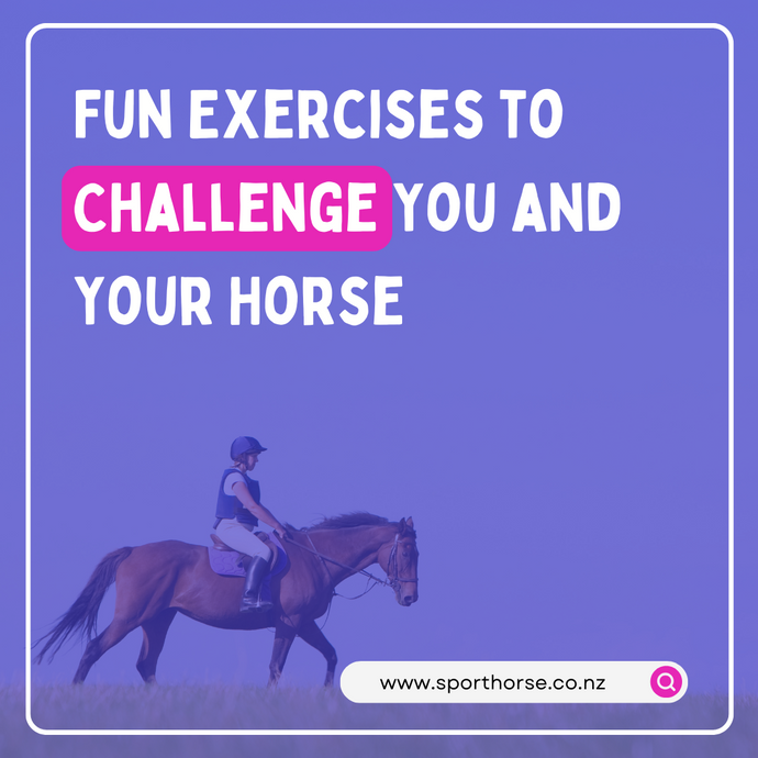 Fun Exercises to Challenge You and Your Horse