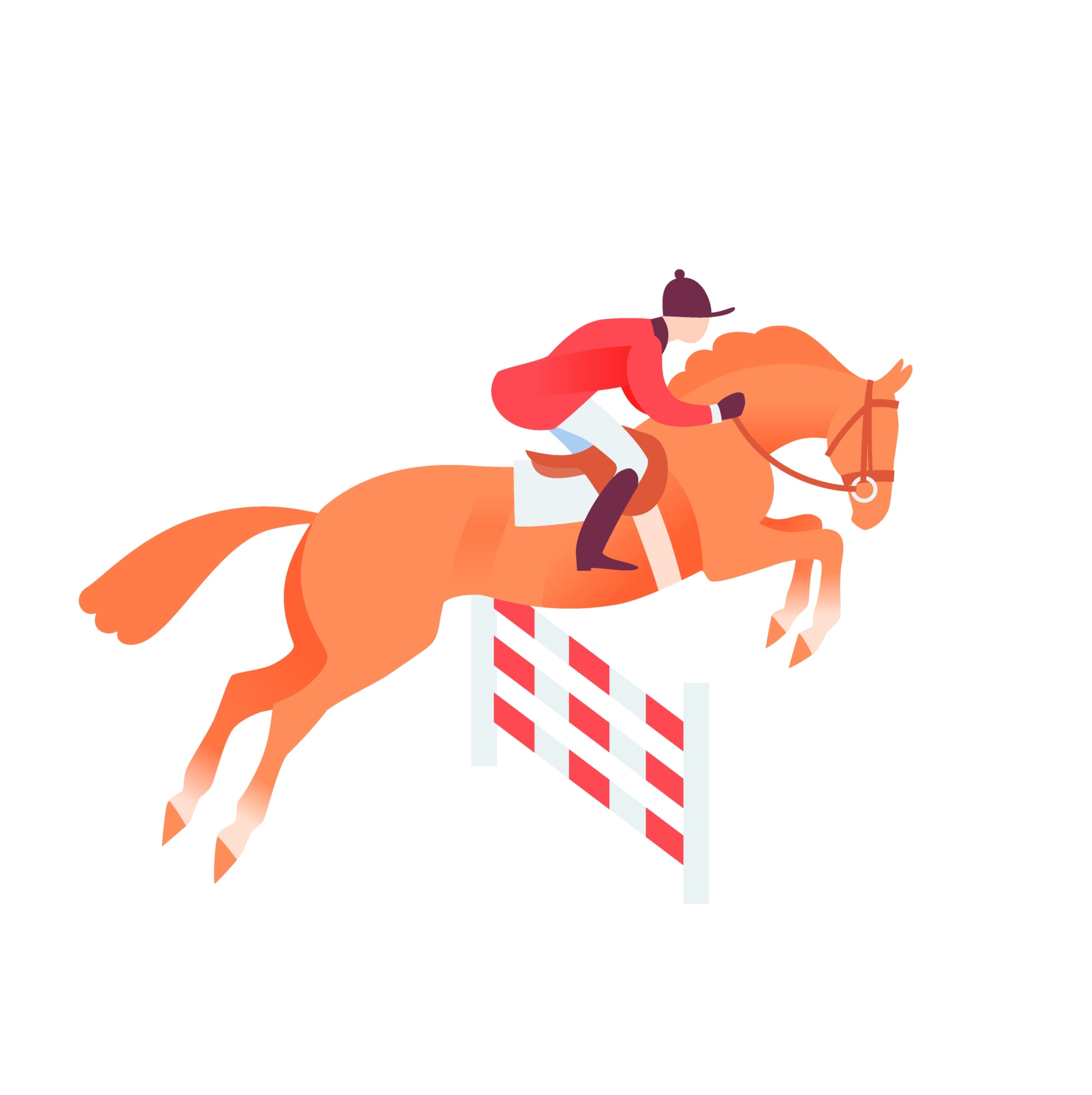 SPORT HORSE Show Jumping & Show Hunter Jumps, Wings, Stands, Fill