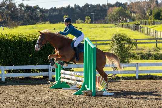 Olympic Jump Wings - Pair