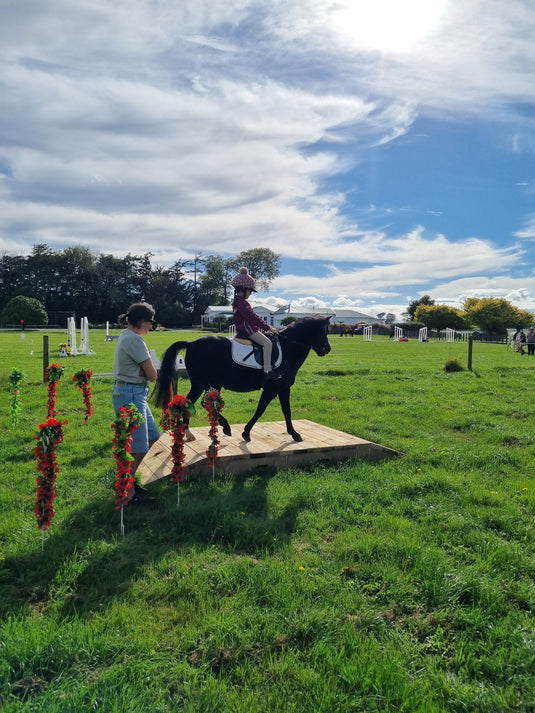 Wooden Working Equitation Bridge