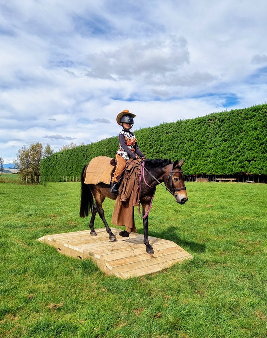 Wooden Working Equitation Bridge