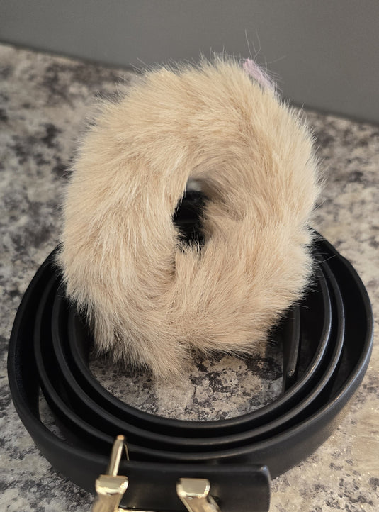 Bella.Rider Galley Singles