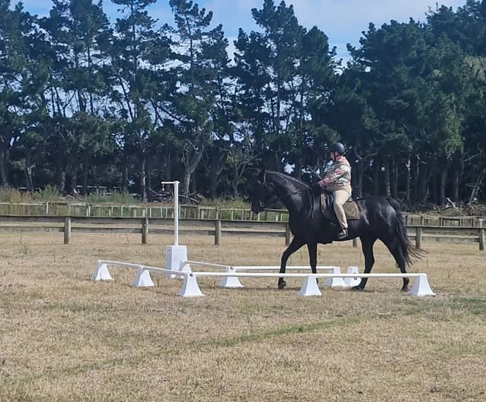 Working Equitation Bell Corridor Assembly