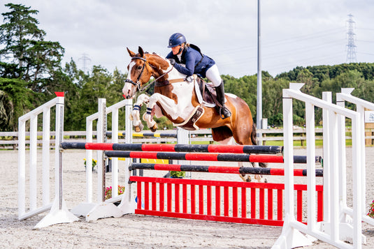 Olympic Jump Wings - Pair - Sport Horse