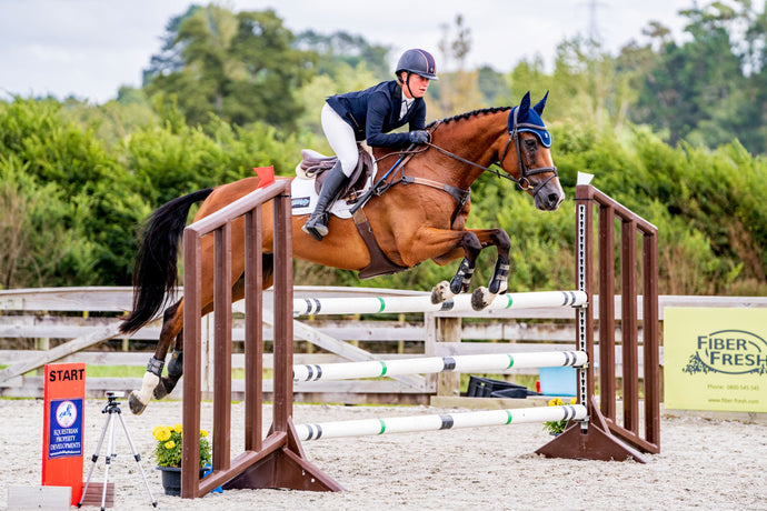 Olympic Jump Wings - Pair - Sport Horse