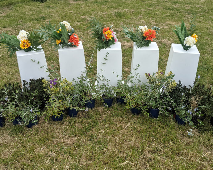 Arena Planters - Sport Horse