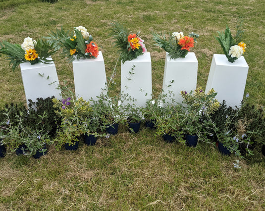 Arena Planters - Sport Horse