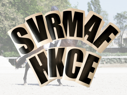 Vinyl Dressage Letters - Sport Horse